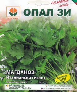 Сортови семена за Магданоз Италиански гигант – Кралят на ароматните подправки