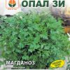 Сортови семена за Магданоз Комун – Класическият аромат на Вашата градина