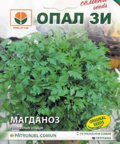 Сортови семена за Магданоз Комун – Класическият аромат на Вашата градина