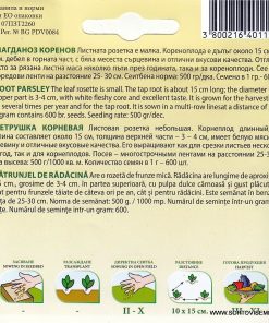 Сортови семена за Магданоз коренов – Двойна полза: Ароматни листа и сочен кореноплод