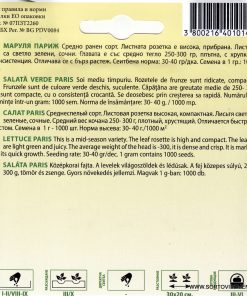 Сортови семена за Маруля Париж (Paris White Cos) – Класиката за салата „Цезар“