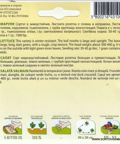 Сортови семена за Маруля Валмаин (Valmaine) – Изумрудената кралица на салатите