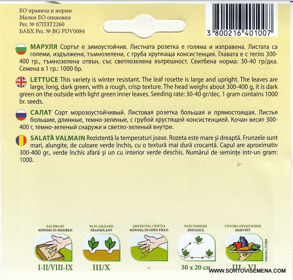 Сортови семена за Маруля Валмаин (Valmaine) – Изумрудената кралица на салатите
