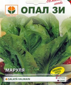 Сортови семена за Маруля Валмаин (Valmaine) – Изумрудената кралица на салатите