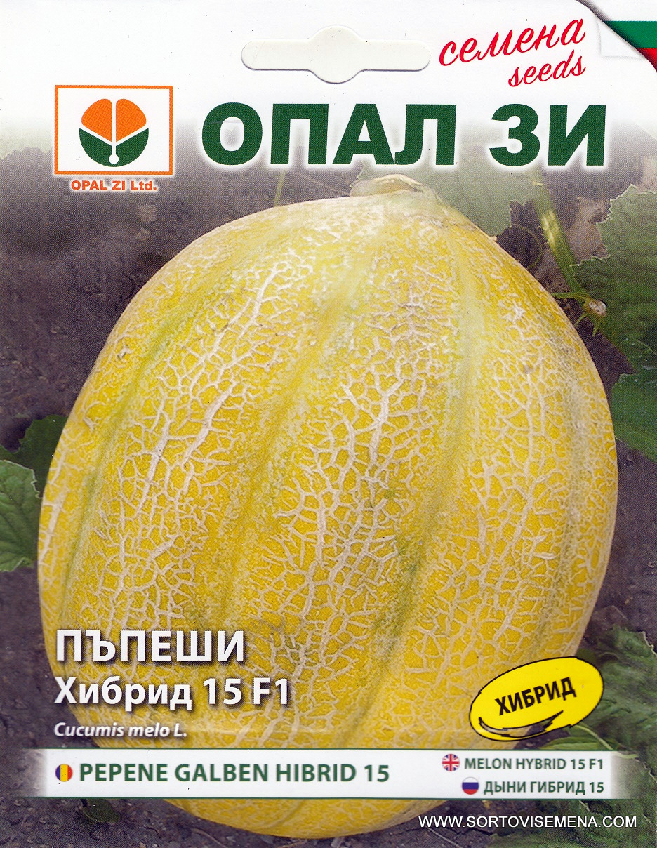 Сортови семена за Пъпеши Хибрид 15 F1 – Качество и вкус