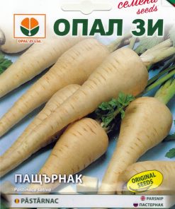 Сортови семена за Пащърнак – „Зимният морков“ на Вашата трапеза