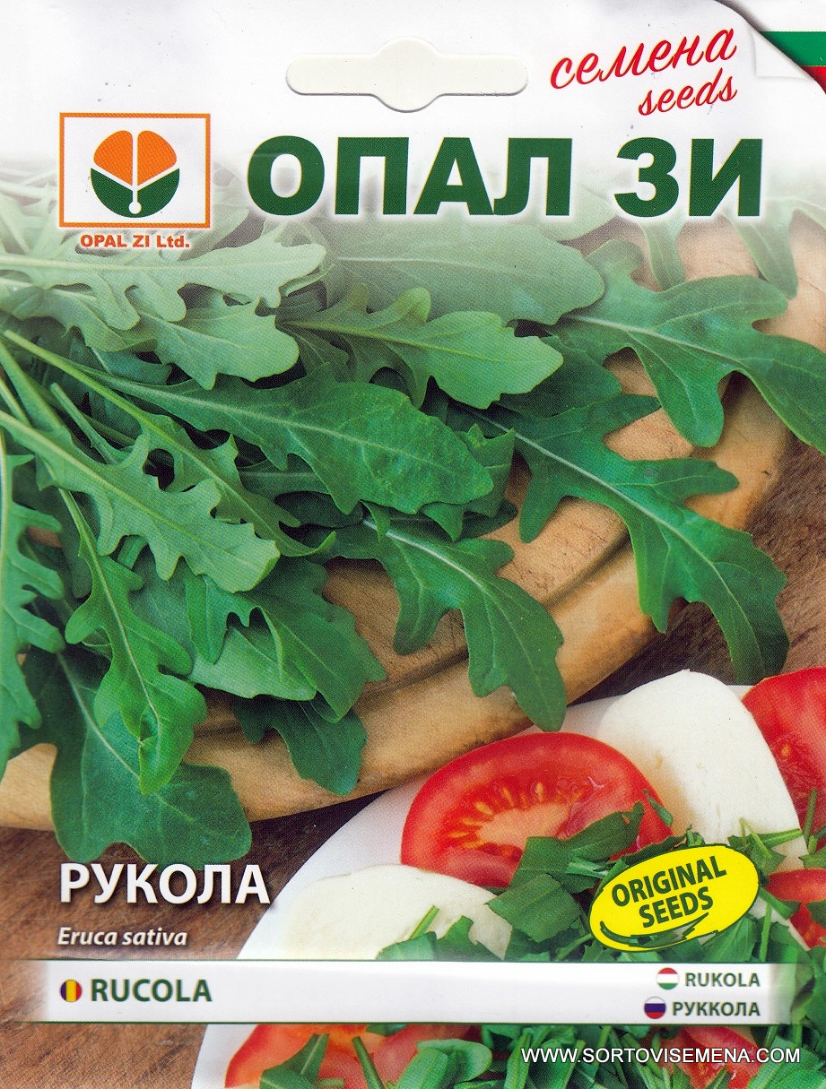 Сортови семена за Рукола градинска
