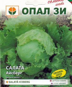 Сортови семена за Салата Айсберг Айс Куйн – Кралицата на хрупкавите салати