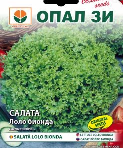 Сортови семена за Салата Лоло бионда – Свежест и обем във вашата градина