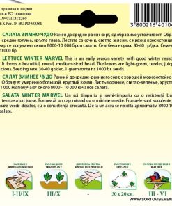 Сортови семена за Салата Зимно чудо – Свежест дори в най-студените дни