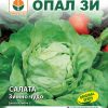 Сортови семена за Салата Зимно чудо – Свежест дори в най-студените дни