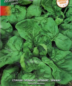 Сортови семена за Спанак Едър зимен – Студоустойчивият шампион на градината