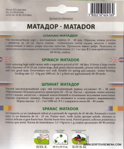 Сортови семена за Спанак Матадор – Устойчивият гигант за вашата градина