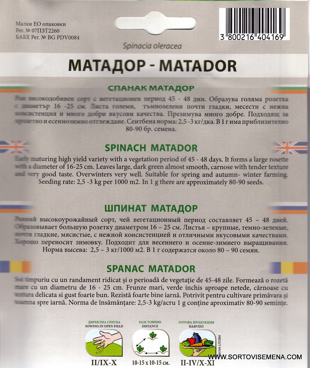 Сортови семена за Спанак Матадор – Устойчивият гигант за вашата градина