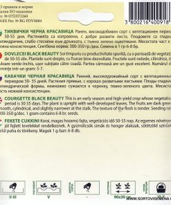 Тиквички Черна красавица – Ранно и богато лятно изобилие