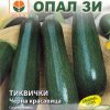 Тиквички Черна красавица – Ранно и богато лятно изобилие
