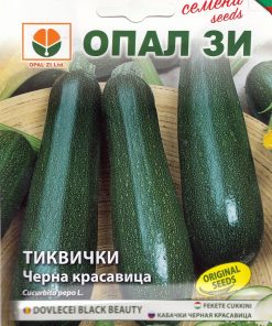 Тиквички Черна красавица – Ранно и богато лятно изобилие