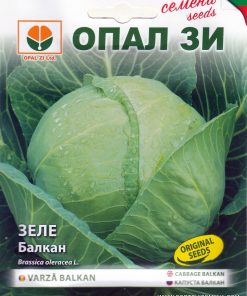 Сортови семена за Зеле Балкан – Традиционната българска мощ в градината