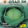 Сортови семена за Зеле Дитмарско – Ранна свежест за трапезата