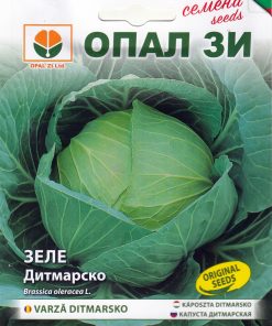 Сортови семена за Зеле Дитмарско – Ранна свежест за трапезата