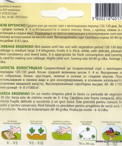 Сортови семена за Зеле Ергенско – Майсторът на киселото зеле