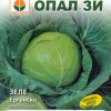 Сортови семена за Зеле Ергенско – Майсторът на киселото зеле