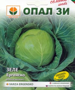 Сортови семена за Зеле Ергенско – Майсторът на киселото зеле