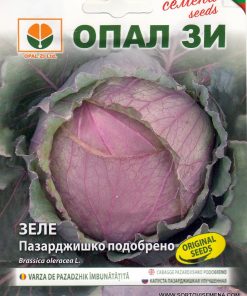 Сортови семена за Зеле Пазарджишко подобрено – Устойчивост и традиционен вкус