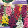 Сортови семена за Антиринум (Кученце) – смес – Цветна приказка в градината