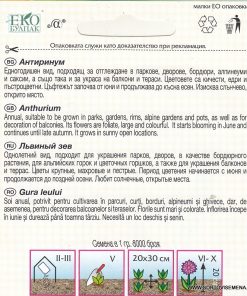 Сортови семена за Антиринум (Кученце) – Пъстър микс