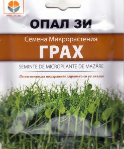 Грах – семена за микрорастения: Силата на пролетта във вашата кухня
