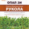 Рукола – семена за микрорастения – Пикантност и суперсили на вашия прозорец