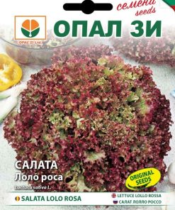 Сортови семена за Салата Лоло роса – Къдравата перла на Италия