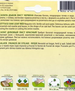 Сортови семена за Салата Дъбов лист червена – Естетика и свежест в градината