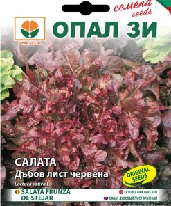 Сортови семена за Салата Дъбов лист червена – Естетика и свежест в градината