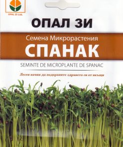 Спанак – микрорастения – Свежа суперхрана вкъщи