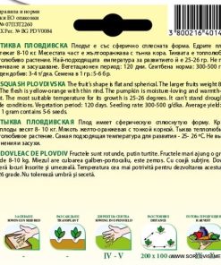 Тиква Пловдивска – Традиционният български гигант