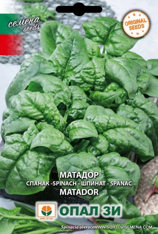 Сортови семена за Спанак Матадор – Устойчивият гигант за вашата градина