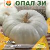 Тиква Пловдивска – Традиционният български гигант