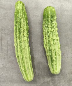 Краставици Крокодилки – Сочна хрупкавост и обилен добив