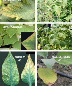 Недостиг на калий