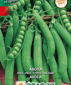 Сортови семена за Грах Авола – Ранен и сладък сорт