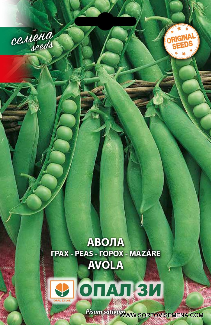 Сортови семена за Грах Авола – Ранен и сладък сорт