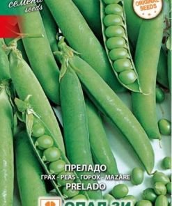 Сортови семена за Грах Преладо – Еталон за ранно производство