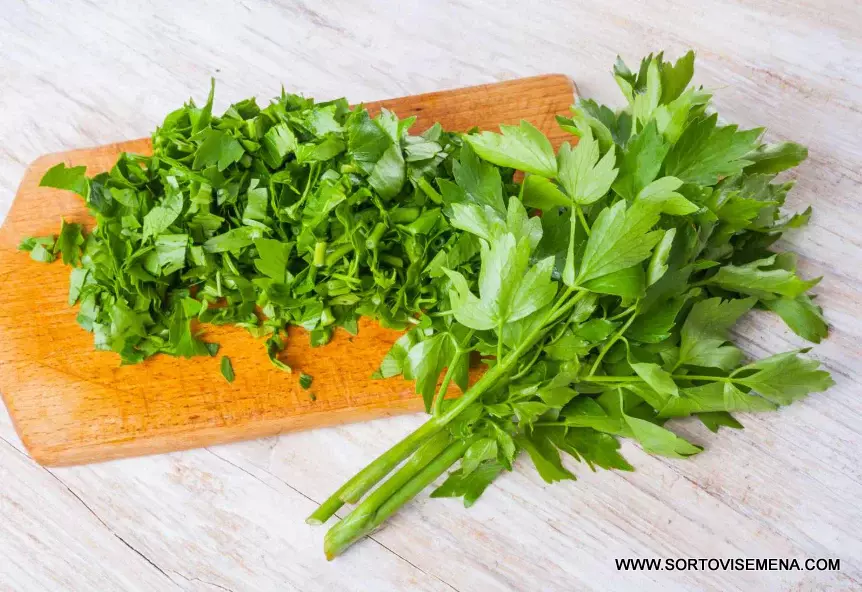 Сортови семена Девесил – Ароматът на традицията