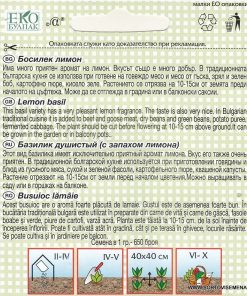 Сортови семена за Босилек лимон – Цитрусова свежест в градината