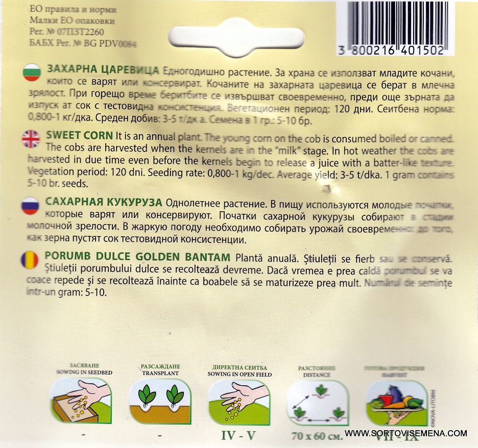 Сортови семена за Захарна царевица Голдън Батам – Класически сорт