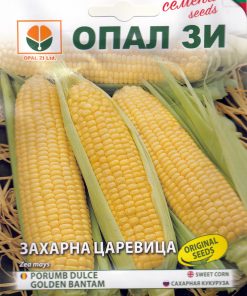 Сортови семена за Захарна царевица Голдън Батам – Класически сорт