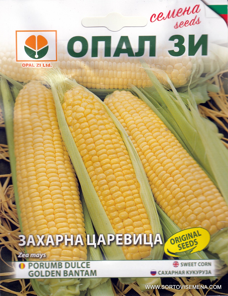 Сортови семена за Захарна царевица Голдън Батам – Класически сорт