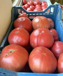 Сортови семена за Домати Йоана(Yoana)- Автентичен вкус и аромат